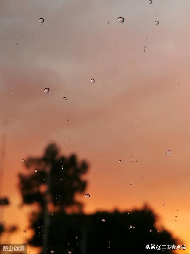 属鼠的今年会不会考试成功，2022 年生肖鼠学业