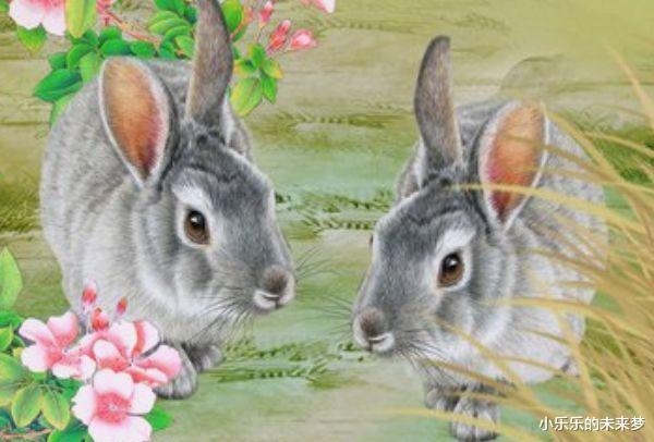 今年属兔运气不好怎么度过，1975属兔45岁以后运气