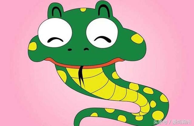 属蛇人和什么生肖相克,属蛇的六个合贵人