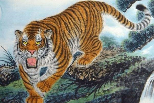 6年属虎适合做什么行业，1986年属虎人2022