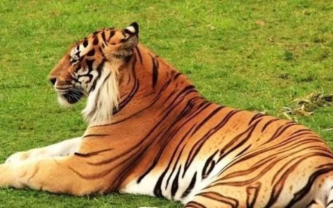 996年属鼠婚姻吉祥方位，1996年属鼠的贵人在哪个方向"