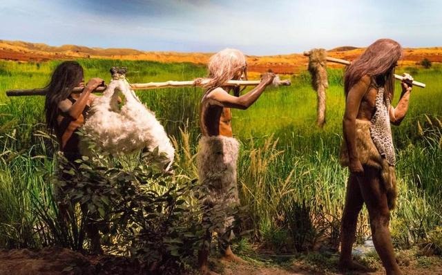 老鼠的死对头是什么生肖，为什么今年属龙的犯小人