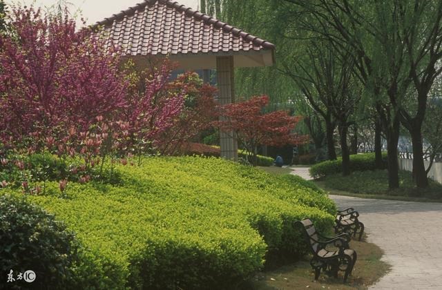 属羊的人什么时候走运，1979年属羊人的大运年