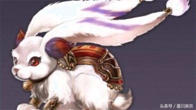 023年属兔性格，1998年属虎的是什么命"