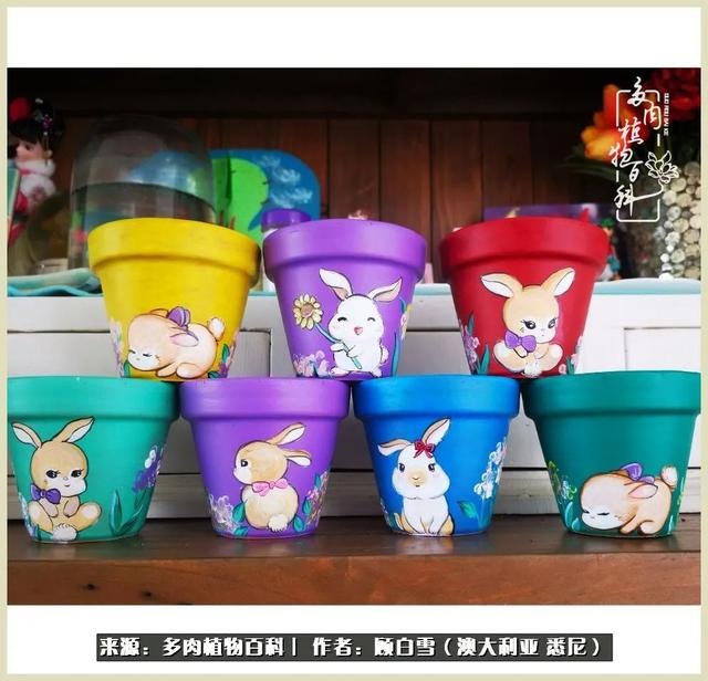 兔子不能随便送人，兔子送人有忌讳吗