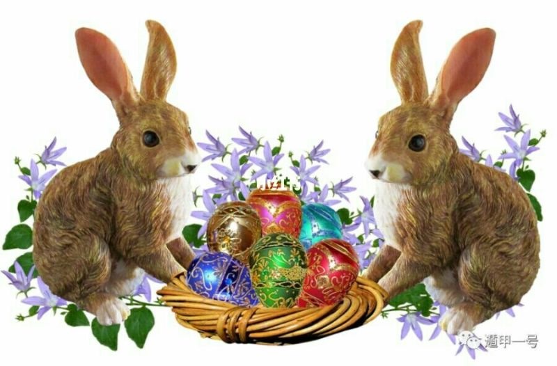 7属兔女的一生婚姻,1987年属兔是什么命"