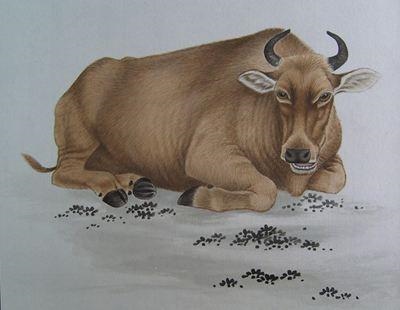 兔的正缘桃花是谁，87年属兔必定富贵命