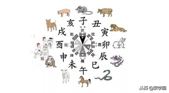 十二生肖相冲相合表，12生肖相冲表相克表