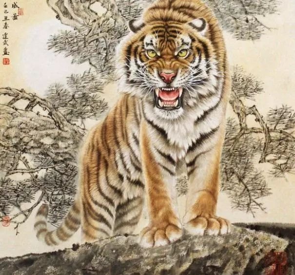 2年属虎能活多少岁，62年属虎的是什么命"