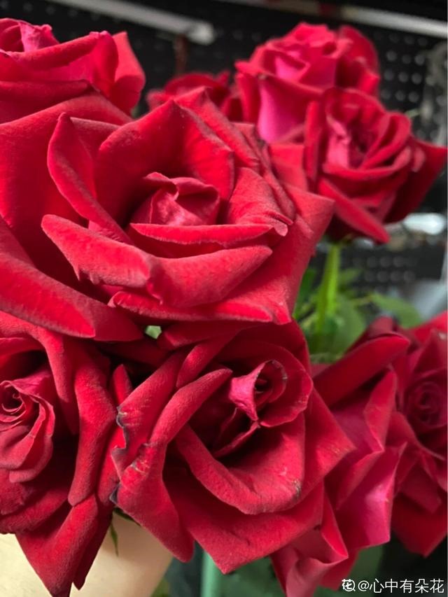 7兔男和93鸡女谁克谁，鸡兔结婚后来都怎么样了"