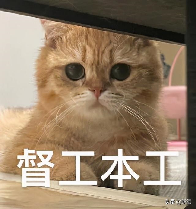 属兔男分手后难过吗，男属兔女属龙合适吗