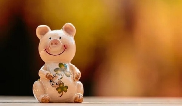 属猪人未来5年的运势，93鸡和95猪的姻缘破解