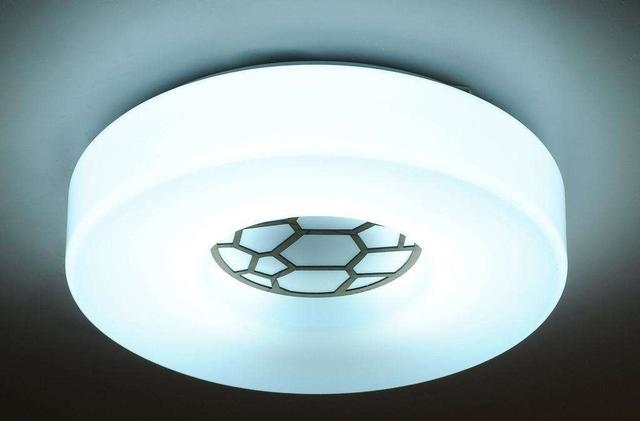 鼠的五行属什么，属鼠的人五行属什么