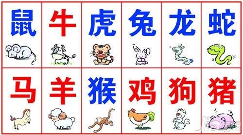 十二生肖属兔今日运势查询，属兔今天打麻将财运