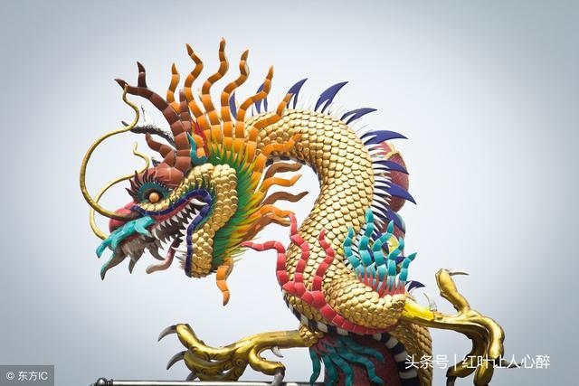 8属龙的一生婚姻状况女,88年属龙人2022