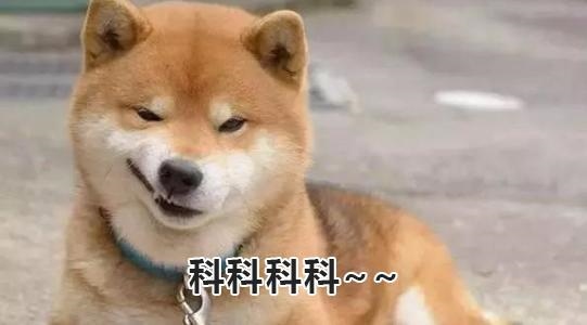 0天为一个月还是31天,哪个月是30天那个月是31天"