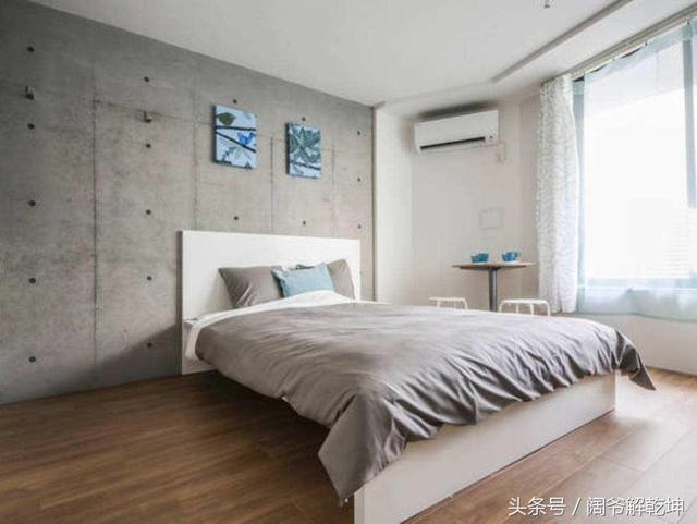 属猪的四大忌属相是哪些，1995属猪的三大坎