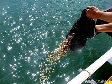 属鼠84本命年值太岁怎么化解，2022 年属马的冲太岁怎么化解