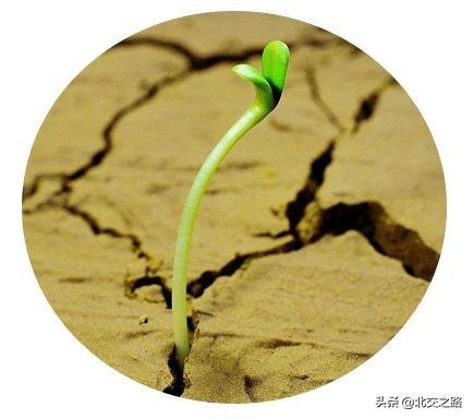 五行相生相克表图表，五行相生相克表图百度