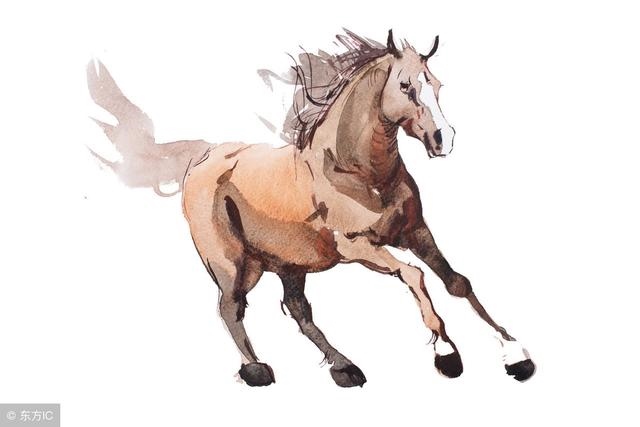 鼠和什么生肖财运更佳，鼠配什么生肖能旺财运