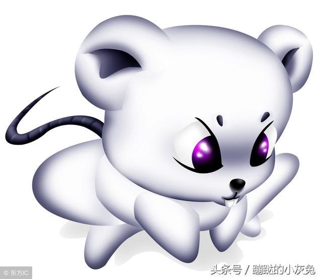 属鼠属于五行属什么，属鼠的和属什么的相克