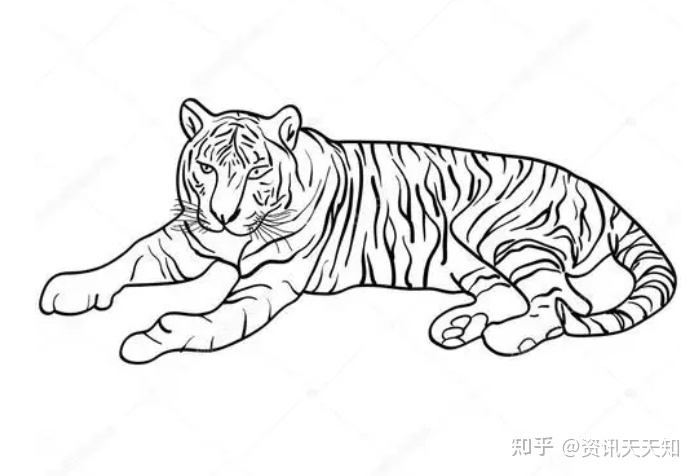 986年属虎本命年,1986年正月初一属虎是什么命"