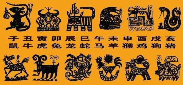 老鼠的死对头是什么生肖，为什么今年属龙的犯小人