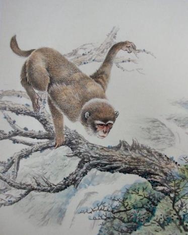 966年属马一生大劫年，1966年属马女55岁后婚姻命运"