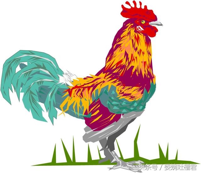 属鸡的五行对照表，属鸡是金木水火土哪个