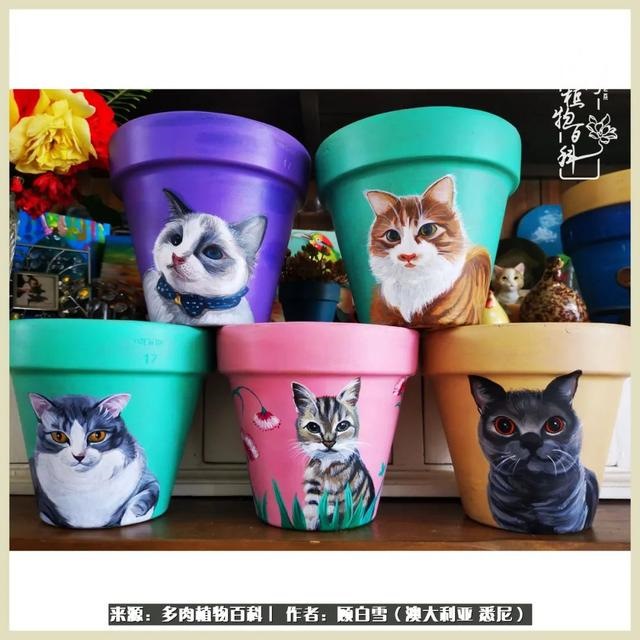 兔子不能随便送人，兔子送人有忌讳吗