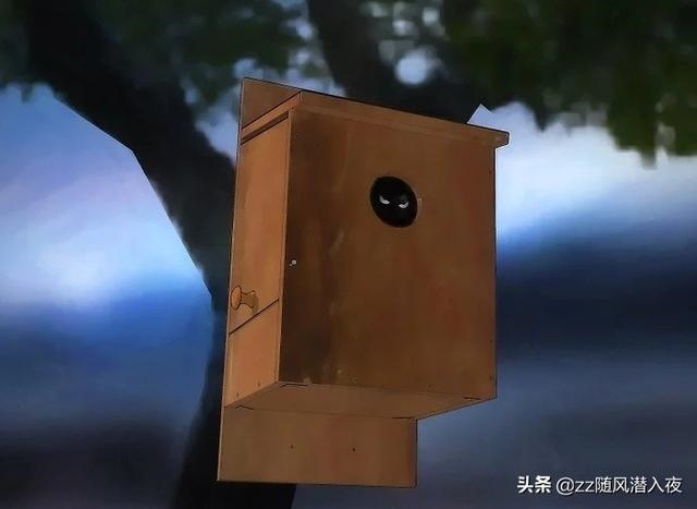 什么东西驱赶老鼠最有效的 *** ，老鼠咬了需要打疫苗吗