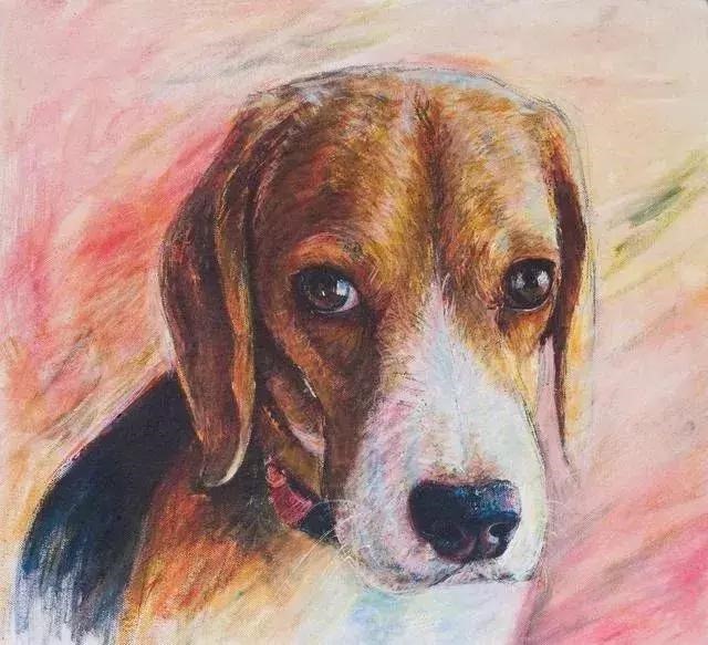 7年属兔一生大劫年，87兔天蝎座2022