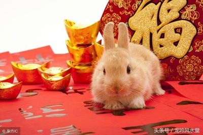 022年属兔幸运颜色，2022年属兔的是什么命"