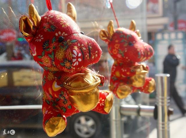 十二生肖未来运势，12生肖未来5年运势