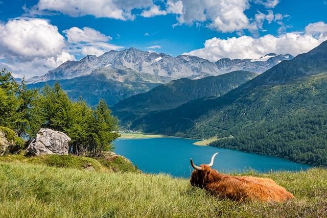 星座运势查询每日， 每日运势