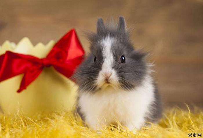 7年属兔的人今年多大了，2022