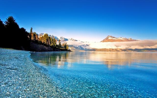 属牛的和什么属相最配，属牛的五大贵人