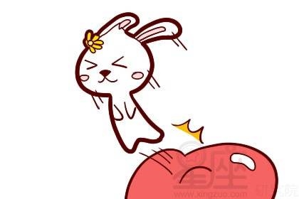 猪女跟兔男的属相合不合，87兔男和95猪女相配吗