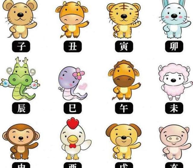 十二生肖名称及代称，十二生肖名称