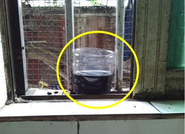 4消毒液驱鼠吗，灭老鼠最有效的