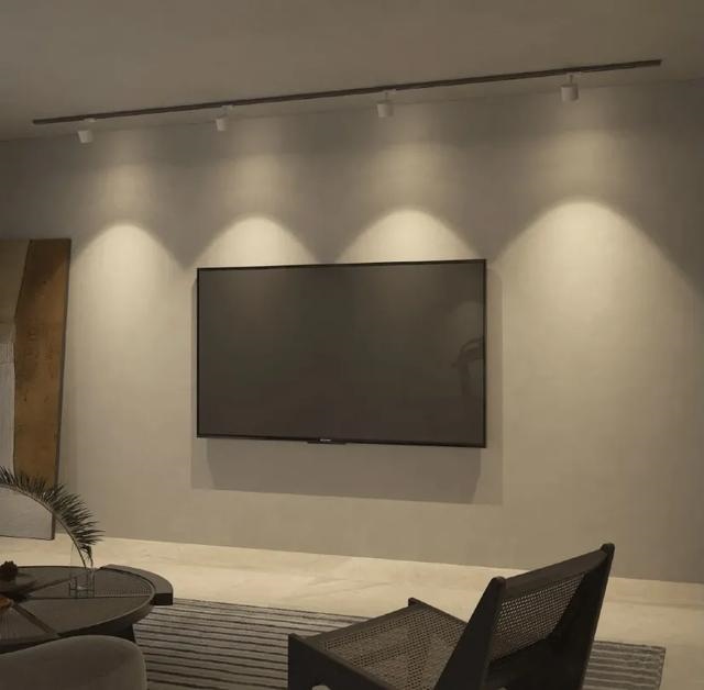 属兔电视背景墙什么更佳，属兔客厅适合挂什么画