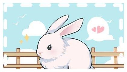 属兔2022幸运颜色，2022 年属鸡的幸运颜色