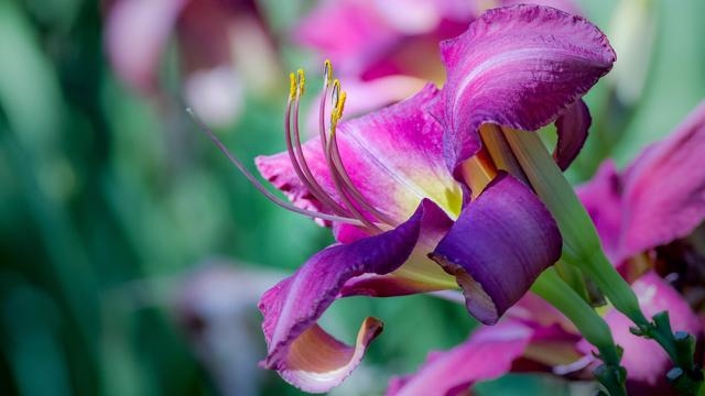 6年出生女人性格是什么,属鼠1996涧下水命详解"