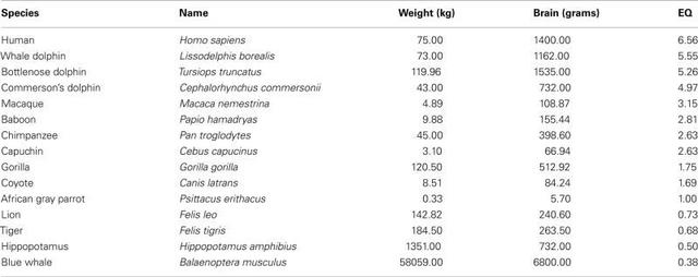 男鼠女兔其实很好，男84鼠女87兔姻缘