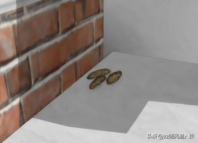 什么东西驱赶老鼠最有效的 *** ，老鼠咬了需要打疫苗吗