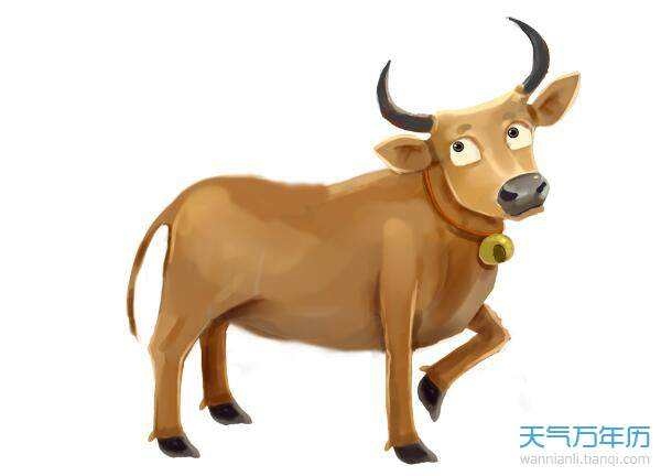 属牛的犯冲属相，属牛忌讳几月出生