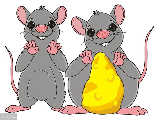 鼠和什么生肖财运更佳，鼠配什么生肖能旺财运