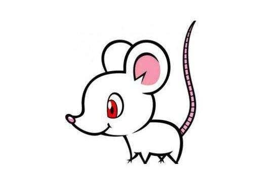 六0年出生属鼠的现在运气如何，属鼠人未来十年运势预测