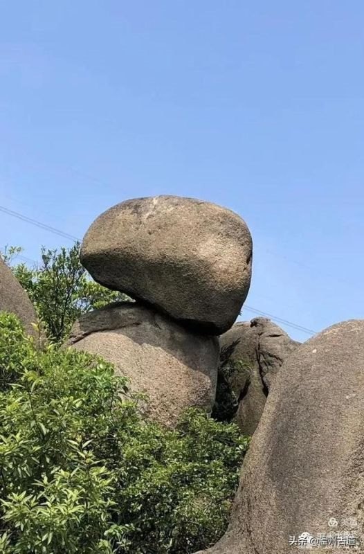 预言唯有玉兔上龙床，千佛万祖保护