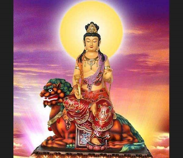 属兔忌讳做什么生意,属兔的适合做什么生意